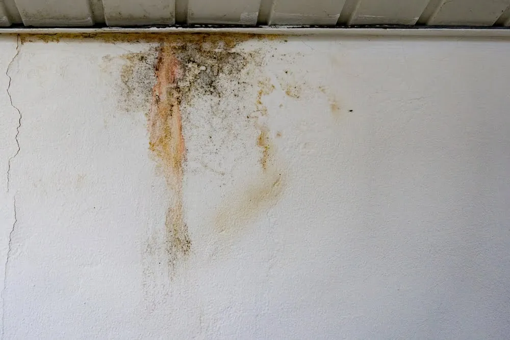 Drywall Moisture Damage